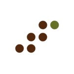 6thSense logo