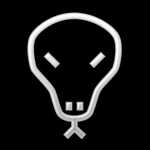 Gecko Security logo