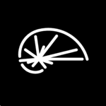Standard Signal logo