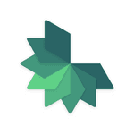 Rimba logo
