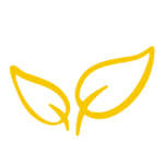 Beanstalk logo