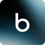 Blaise logo
