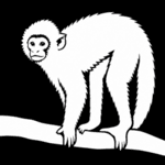 Capuchin logo
