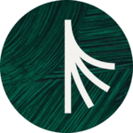 Strand AI logo